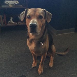 Meet your Posher, Terry